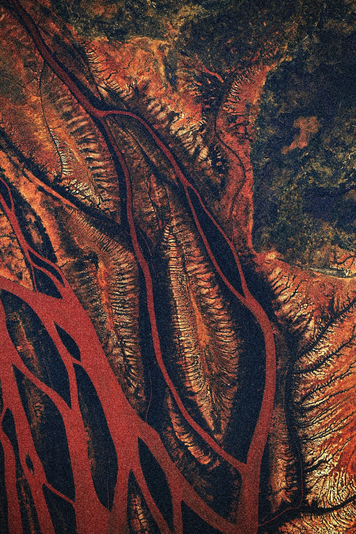 selecta 2 Cosmic fuzzy