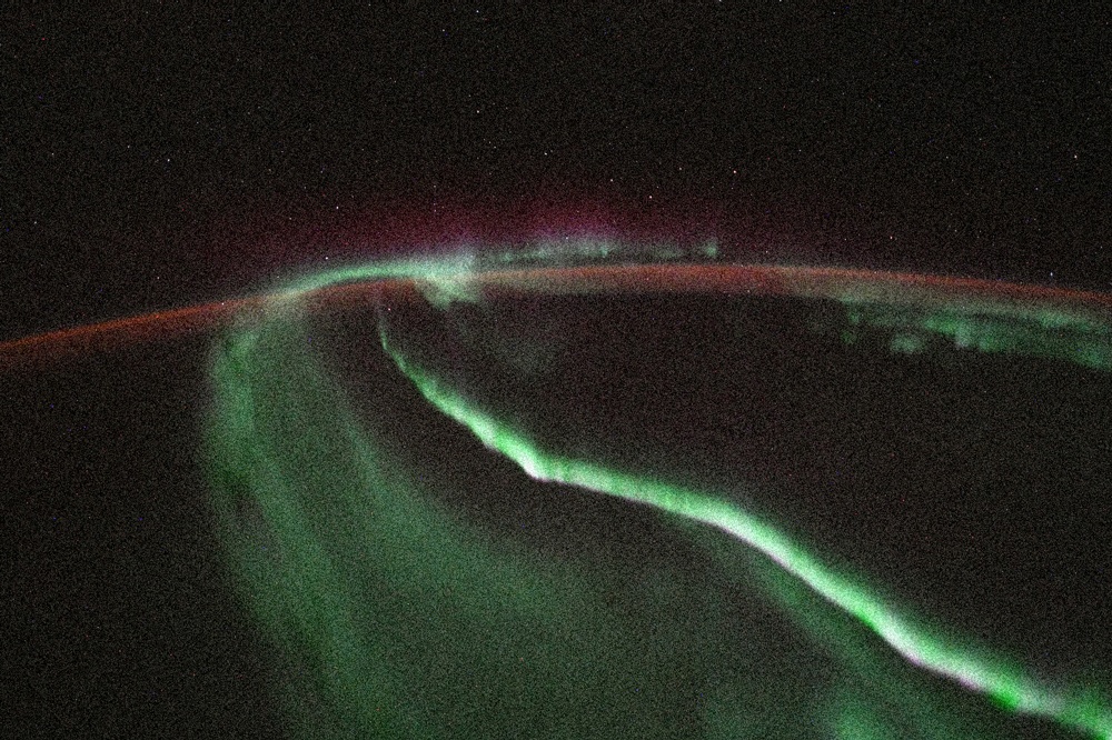 selecta 3 cosmic fuzzy